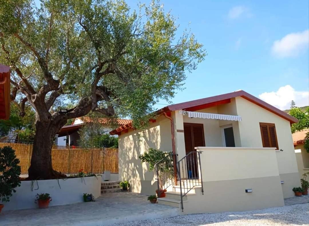 Case Vacanze La Quercia Marina di Camerota Exteriér fotografie
