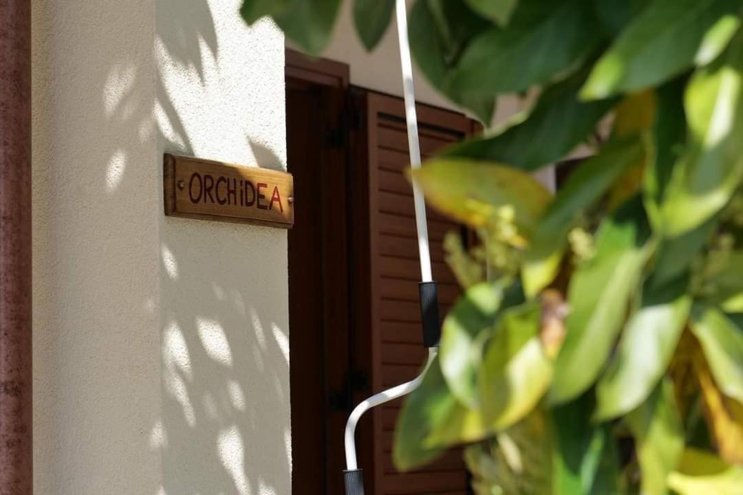 Case Vacanze La Quercia Marina di Camerota Exteriér fotografie