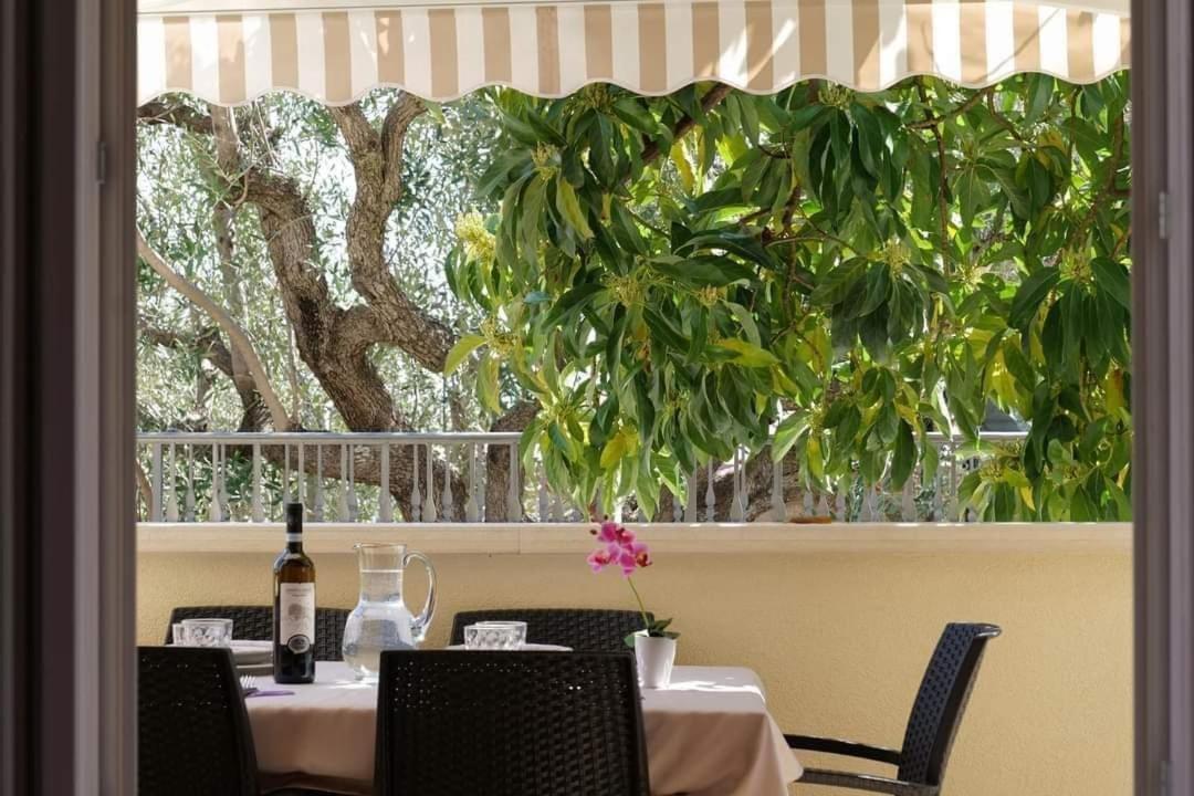 Case Vacanze La Quercia Marina di Camerota Exteriér fotografie